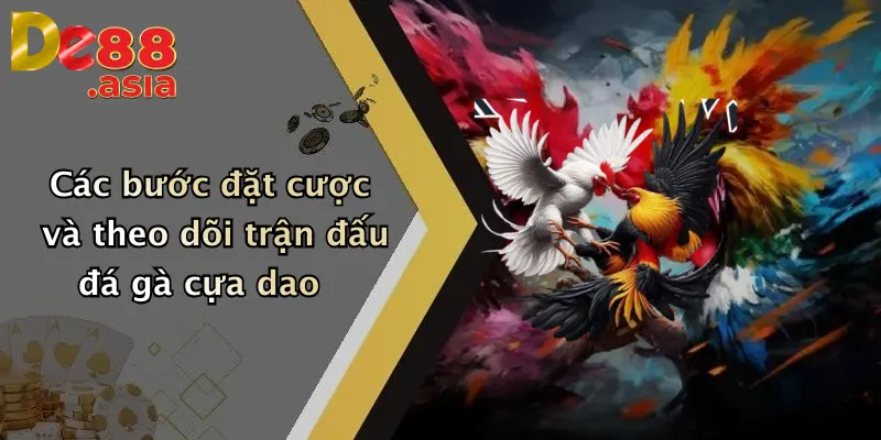 Các bước đặt cược và theo dõi trận đấu đá gà cựa dao