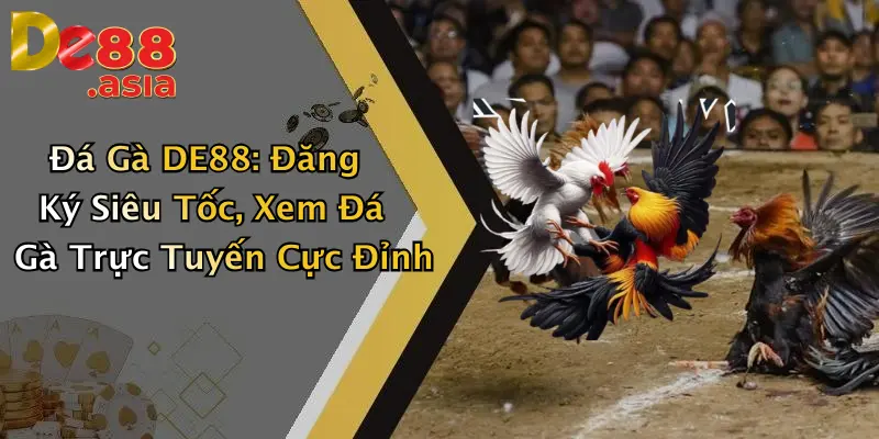 Đá Gà DE88: Đăng Ký Siêu Tốc, Xem Đá Gà Trực Tuyến Cực Đỉnh