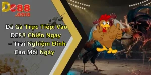 Đá Gà Trực Tiếp: Vào DE88 Chiến Ngay - Trải Nghiệm Đỉnh Cao Mỗi Ngày