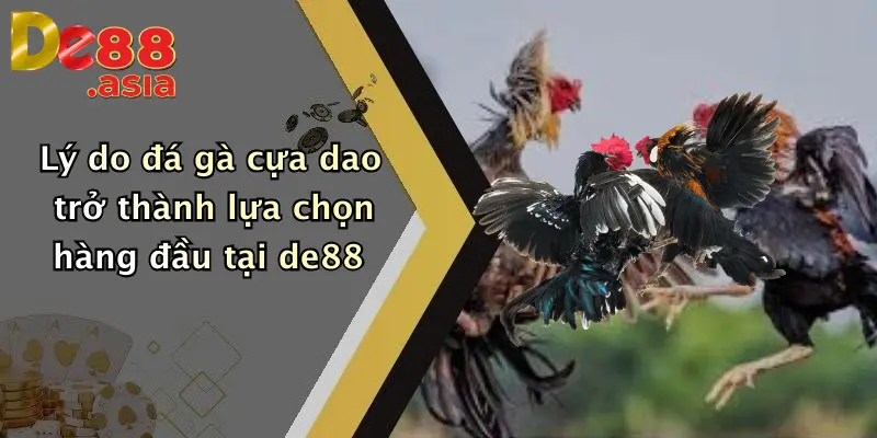 Lý do đá gà cựa dao trở thành lựa chọn hàng đầu tại de88