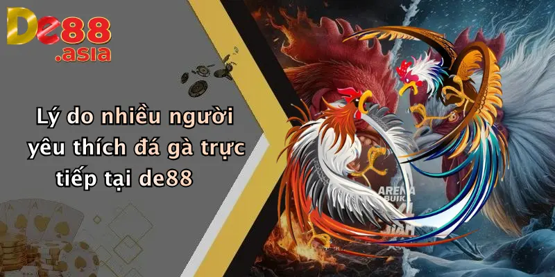 Lý do nhiều người yêu thích đá gà trực tiếp tại de88