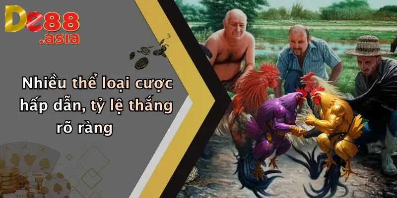 Nhiều thể loại cược hấp dẫn, tỷ lệ thắng rõ ràng